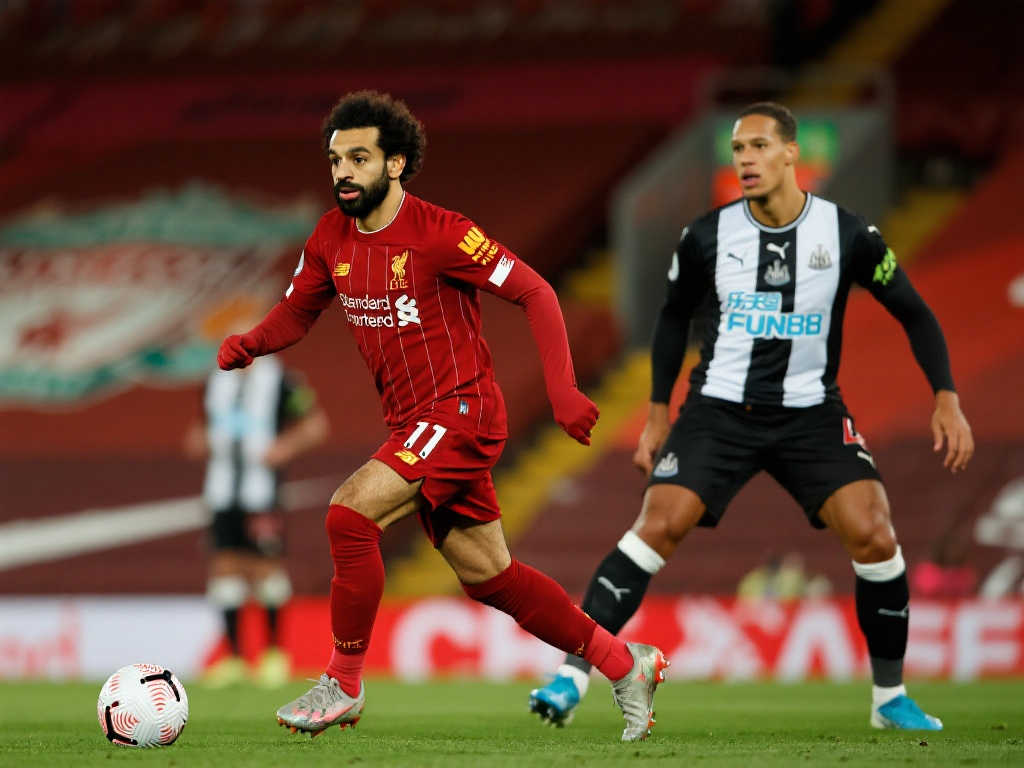 极速体育直播介绍